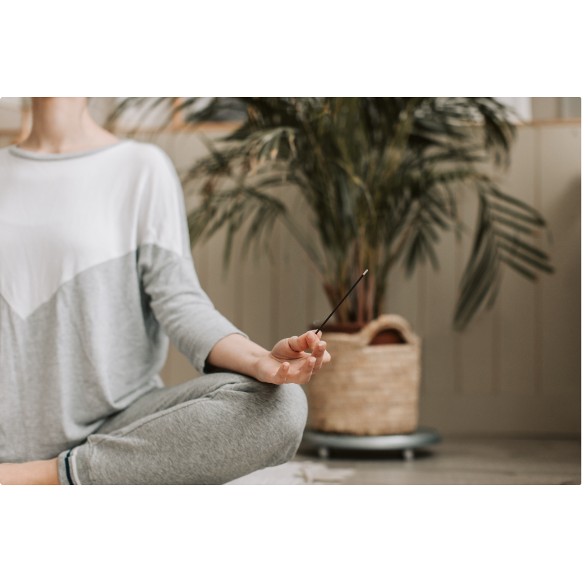 Mindfulness e Atenção Plena — presença consciente